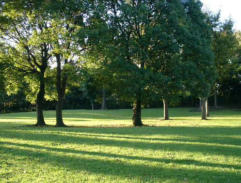 翠ヶ丘公園の写真です