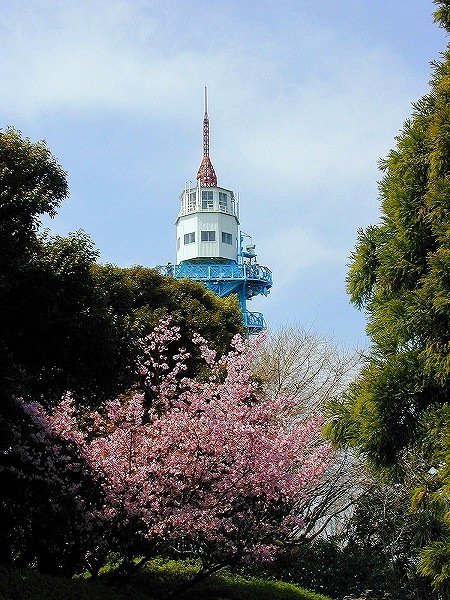 2021年10月5日ふじさわ写真館の写真